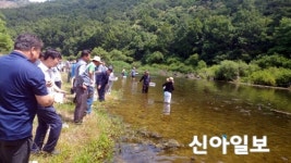 부여, 은산 거전리 지천서 수산종묘 방류
