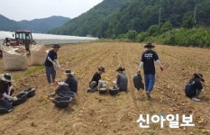 울산대학교 학생들, 농촌봉사활동 진행