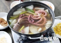 금강산도 식후경 제철 만난 서산 낙지