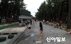 포항, 송림테마거리 도심 속 힐링숲으로 인기