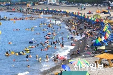 "올 여름 청정 동해 경주 해변으로"