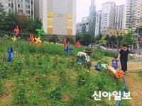서대문 가재울 꽃밭 놀러 오세요
