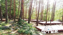 힐링명소 무릉계곡에 제2힐링 캠프장 추가 조성