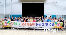 상주 복숭아,  홍콩·싱가포르 수출 시동