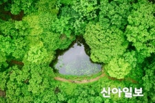안산 광덕산에 신비로운 연못 등장
