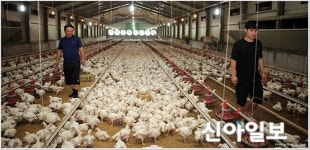 하림, 동물복지 인증사업 선도한다