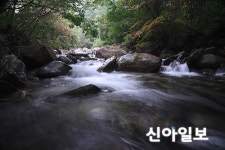 영주 죽계구곡 국립공원 힐링로드 10선 선정
