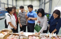 영천 복숭아, 해외 판로 개척 나선다