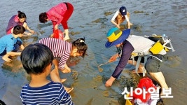신안농촌교육농장 체험프로그램 풍성