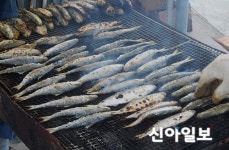 하동군 "여름전어 맛보러 술상항으로 오세요"