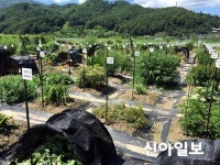 경남도 약용자원연구소, 지리산권역 약용 유전자원연구 박차