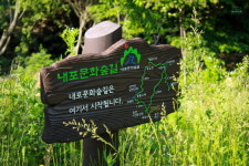 국립용현자연휴양림, 내포문화 숲길 여행 프로그램 운영