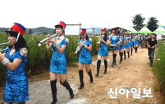 철원 코스모스 10리길에서 힐링하세요