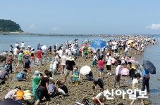 바닷길 갈라지는 보령 무창포로 떠나보자