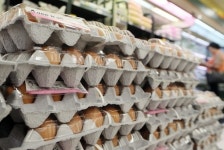 계란·닭고기 소비부진-가격하락 이중고… 양계농가 시름