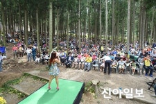 장성 축령산 피톤치드로 힐링하세요