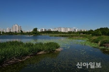 수원, 2년 연속 세계 관개시설물 유산 등재