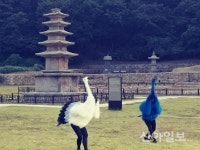 서산 보원사지서 '한국 춤 거장' 한성준·심정순 부활