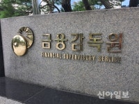 금감원 퇴직자 절반 이상 금융회사 재취업