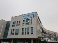 수원시 팔달구, 평창 동계올림픽 홍보 앞장