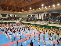 영천시, 2017 대한민국 독도수호태권도대회 개최