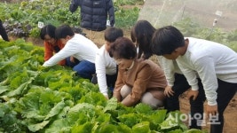 송파도시농업한마당 축제 18일 개최
