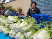 의성·안계전통시장, 명품 김장 재료 한 가득