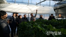 포항시, 한국형 스마트팜 시스템 시범단지 개소