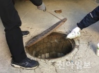 용산구, 월동모기 퇴치 기동반 운영
