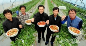 진주시, 농산물 생산 시설 현대화에 114억 투입