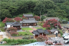 서계서원 내 270년생 배롱나무 보호수 지정