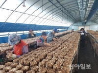 문경시, 2018년 노인일자리사업 참여자 모집