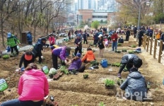 광진구, ‘자투리 텃밭’ 250구획 분양