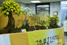 장성군농업기술센터, 국화연구회 운영