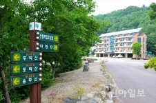 단양 소선암자연휴양림, 사계절 휴식처로 ‘인기’