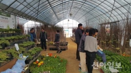 강화군산림조합, 나무시장 개장… 본격 운영 돌입