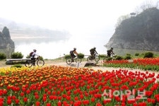 단양군, 사계절 녹색경관도시 만든다