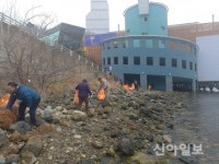 진해구, 군항제 대비 바닷가 대청소 실시