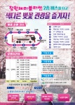 창원시, 진해군항제 기간 동안 테마형 버스 운행