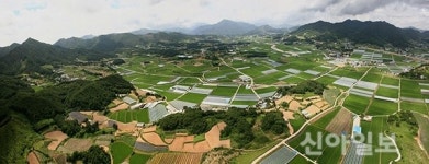 남원시, 유곡·두락리 고분군 국가사적 지정