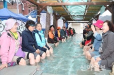 힐링 온천과 벚꽃의 만남… 충주 수안보 온천제