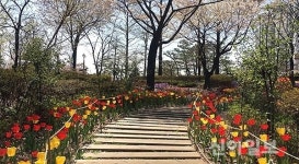 동구 송현공원서 따뜻한 봄을 만끽하세요