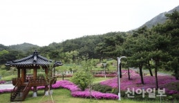 지리산정원, 알록달록 철쭉으로 화려한 변신