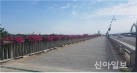 대구 북구, 도로주변 등에 여름꽃길 조성