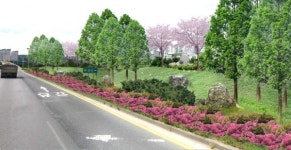 포항시, 연일 유강 일원에 공한지 녹화사업 추진