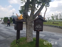 세종호수공원 ‘느린 우체통’ 시민들에 인기