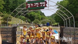 홍천군노인복지관, 고구마 심기 체험 실시