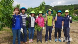 영천시, 농촌마을 일손 돕기 한창