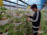 장성군, 젊은 영농인재 발굴·육성 앞장