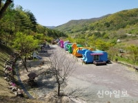 포항시, 비학산 자연휴양림 ‘힐링명소’로 탈바꿈